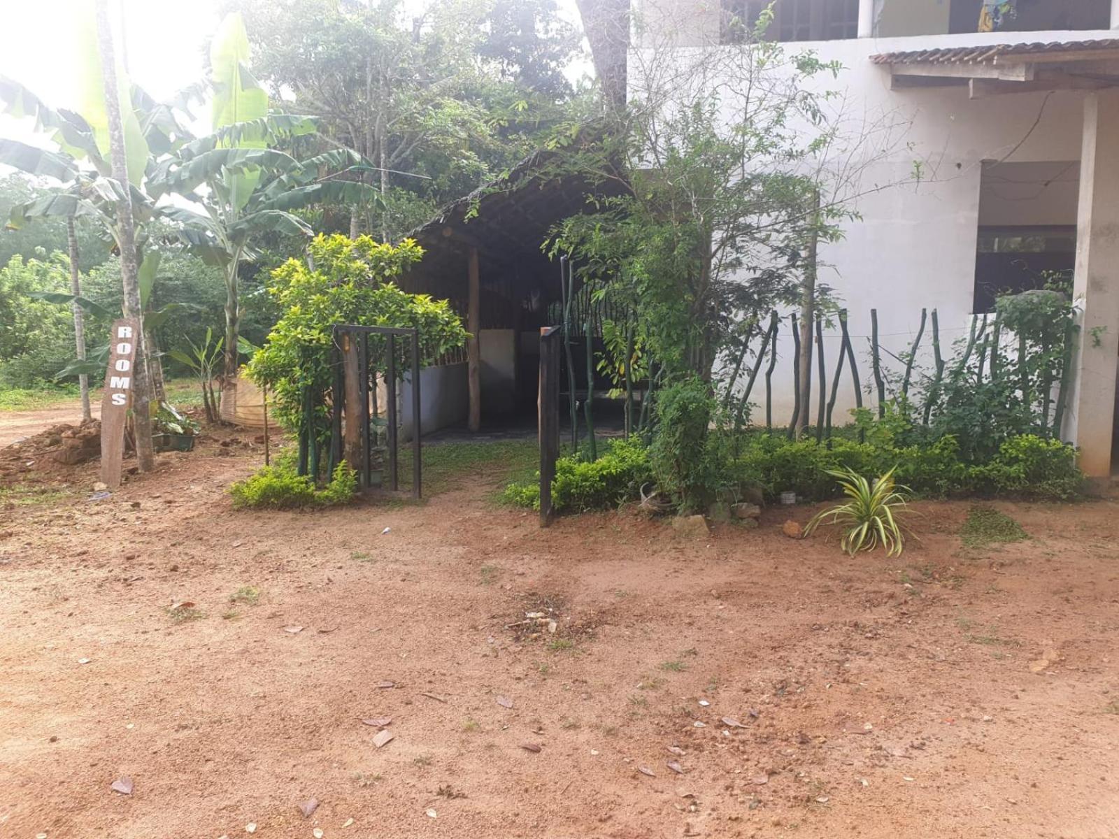 Dillenia Canopy Mirissa Exterior foto