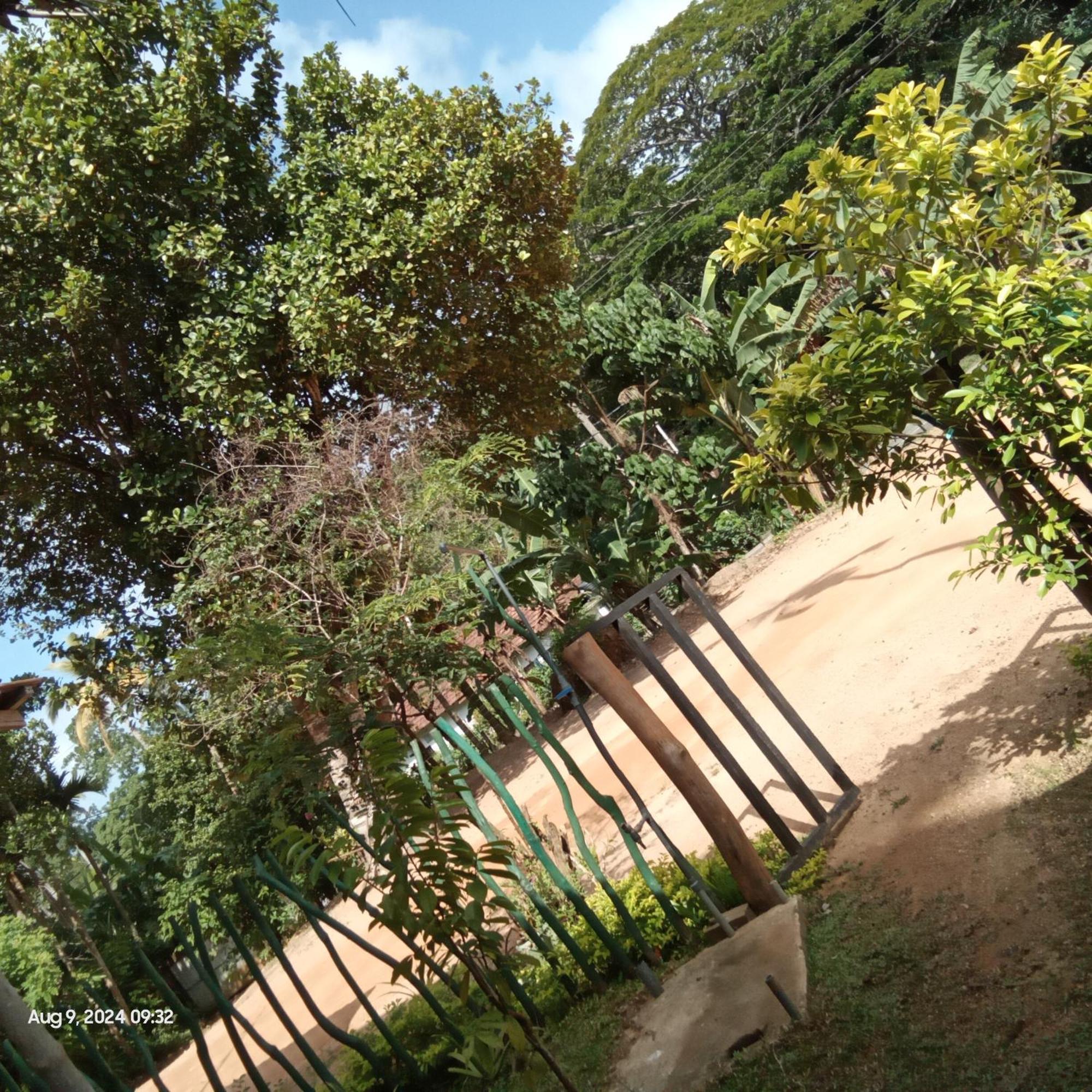 Dillenia Canopy Mirissa Exterior foto